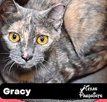 Photo of Gracy