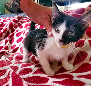 Photo of Maeve