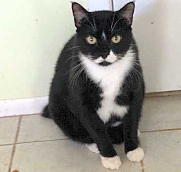Photo of Cassidy