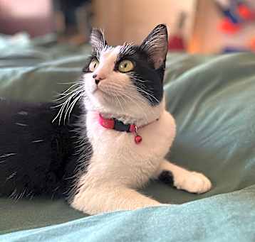 Photo of Phoebe Ann