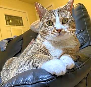 Photo of mimi