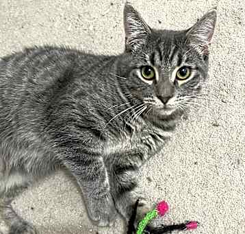 Photo of Mirabel