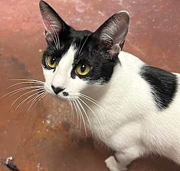 Photo of Dotty