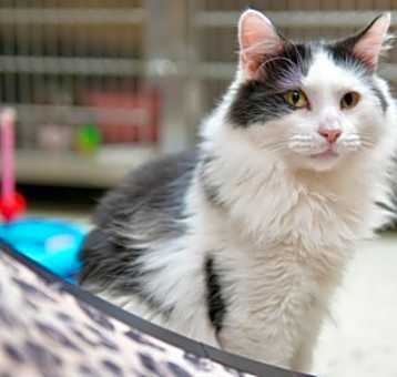 Photo of Mister