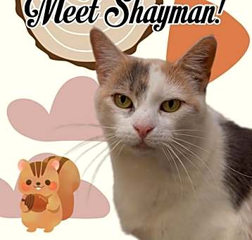 Photo of Shayman