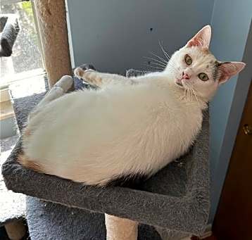 Photo of Storm