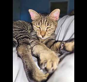 Photo of Squish
