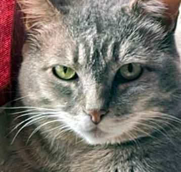 Photo of KATNISS!!!
