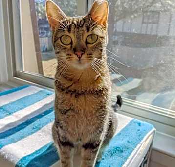 Photo of Hera