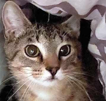 Photo of Sprite