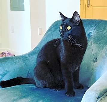 Photo of Elijah