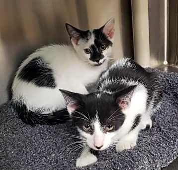 Photo of WYNN AND VANCE