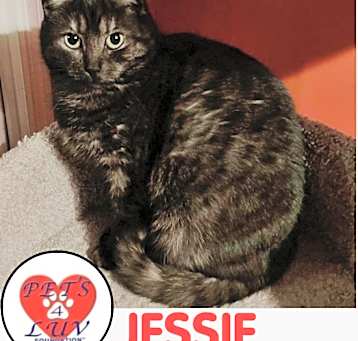 Photo of Jessie