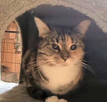 Photo of Tammy