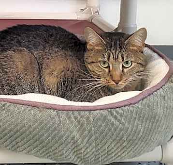 Photo of Dumplin