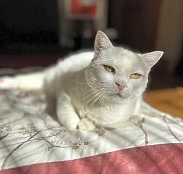 Photo of Jenny