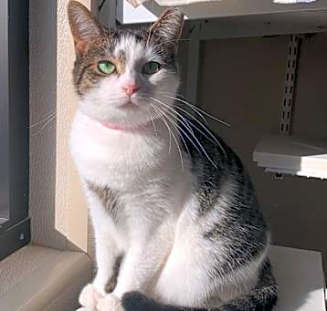 Photo of Chloe