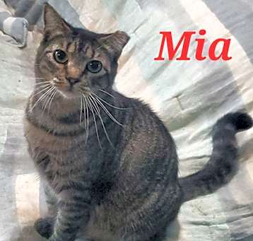 Photo of Mia