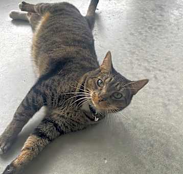 Photo of Bodhy