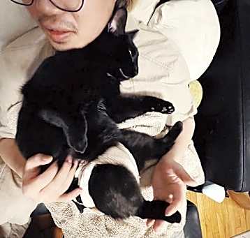 Photo of Midnight
