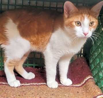 Photo of Hurley