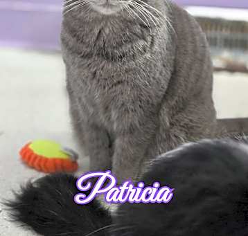 Photo of Patricia