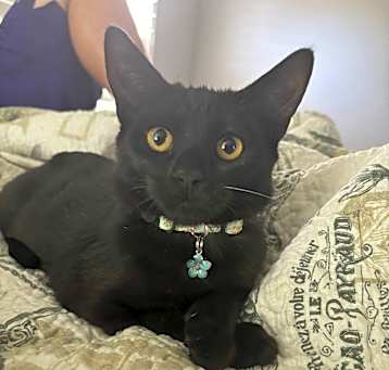 Photo of Livvy