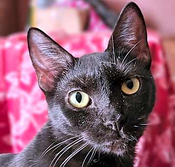 Photo of Miss Reggie