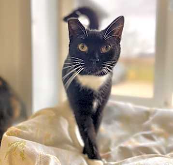 Photo of Trix