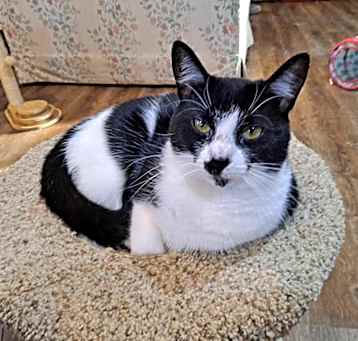 Photo of Delilah