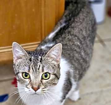 Photo of Phoenix