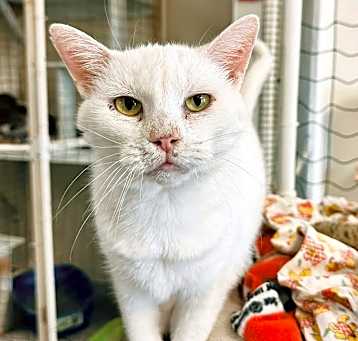 Photo of Penelope