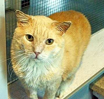 Photo of Spartacus
