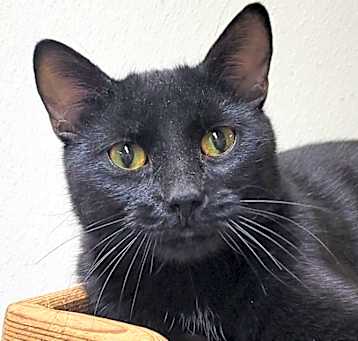Photo of Packy