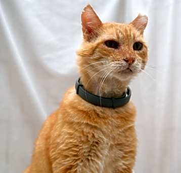 Photo of Tomás