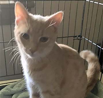 Photo of Buster B