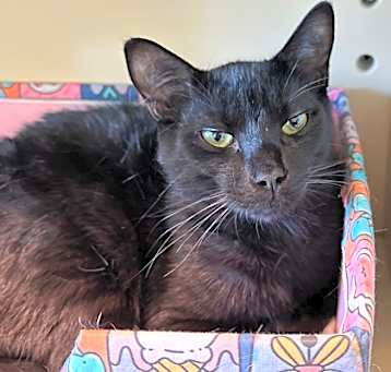 Photo of Milky
