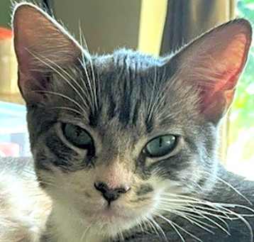 Photo of WallE