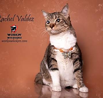 Photo of RACHEL VALDEZ