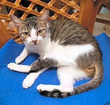 Photo of Pearl