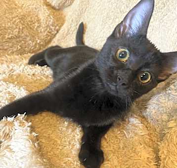 Photo of Betty