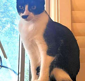 Photo of Tusk
