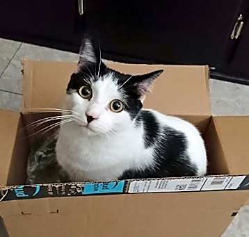 Photo of Ares
