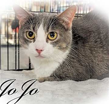 Photo of Jojo