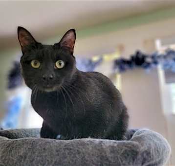 Photo of Bubbles