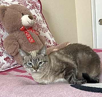 Photo of Molly