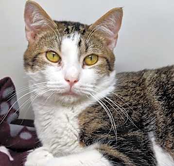 Photo of Maynard