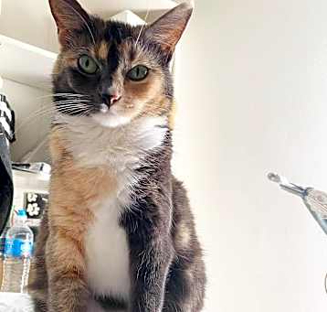 Photo of Ella