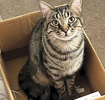 Photo of Baxter
