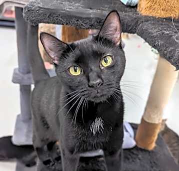 Photo of Bella